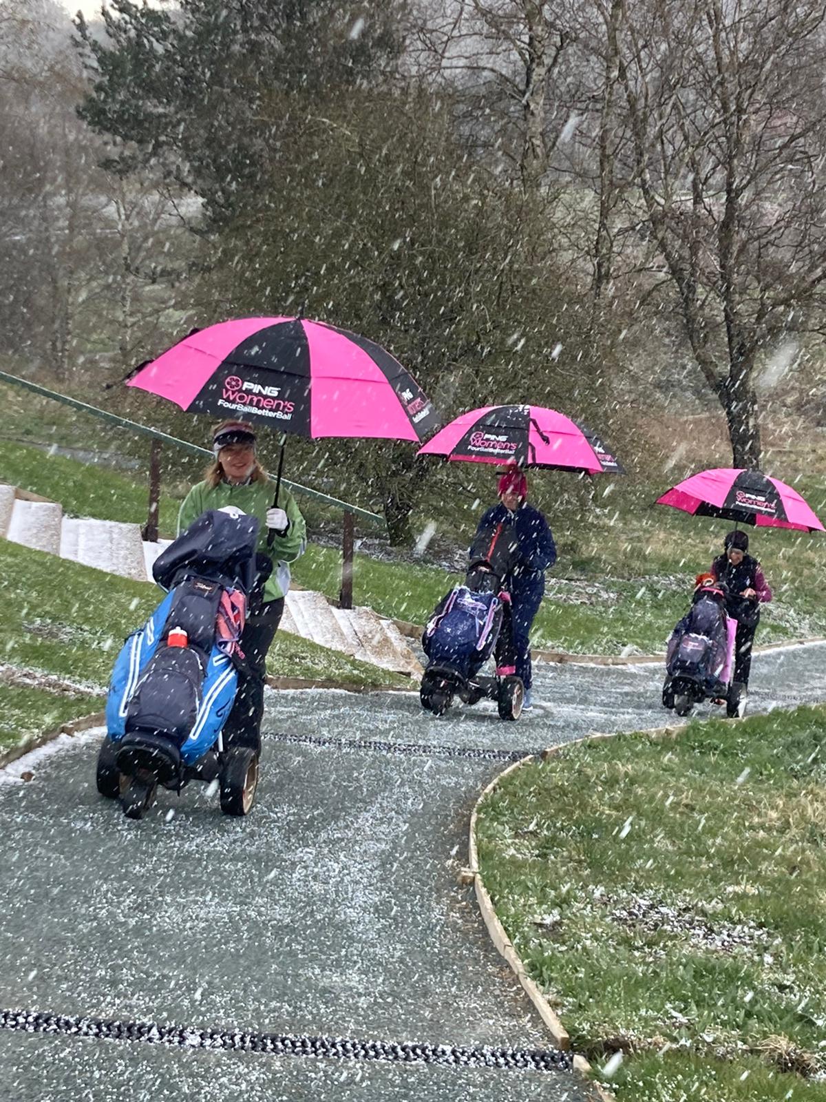 PHOTO-2021-05-07-17-59-38